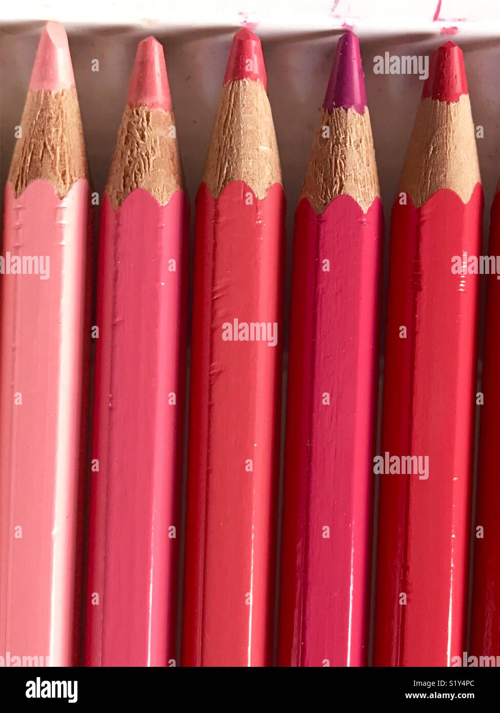 Crayons de couleur rose. Banque D'Images