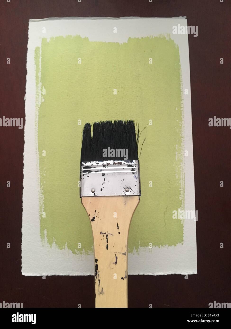 Arts et artisanat , papier enduit de produits chimiques sensibles à la lumière UV pour impression cyanotype qui est également connu sous le nom de blue print. Banque D'Images