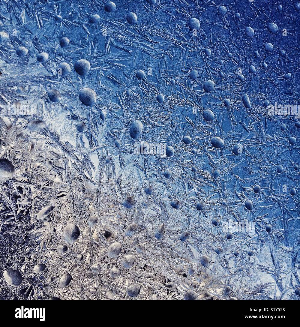 L'hiver - Image de stock capturée avec un smartphone