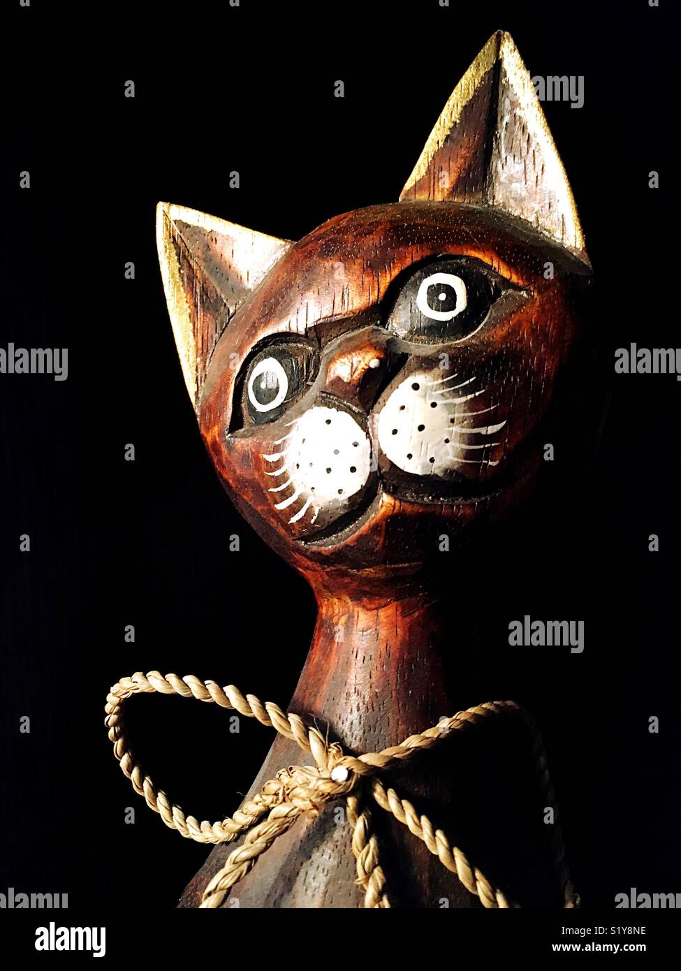 Image d'une tête de chatte - Image de stock capturée avec un smartphone