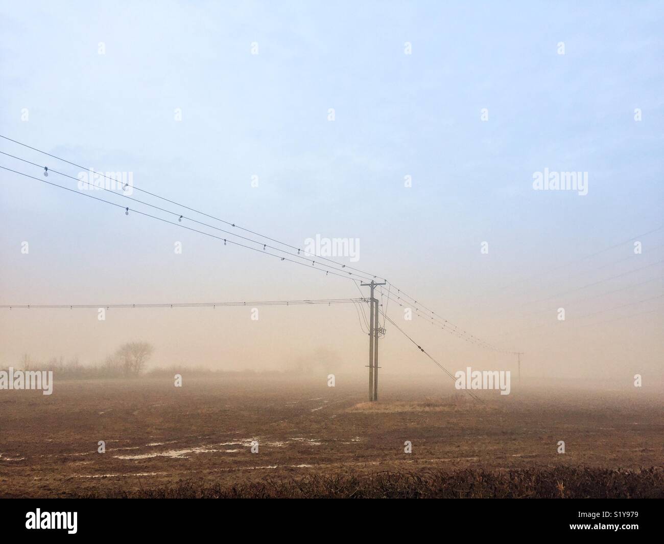 Les lignes aériennes dans un champ. Matin brumeux. Banque D'Images