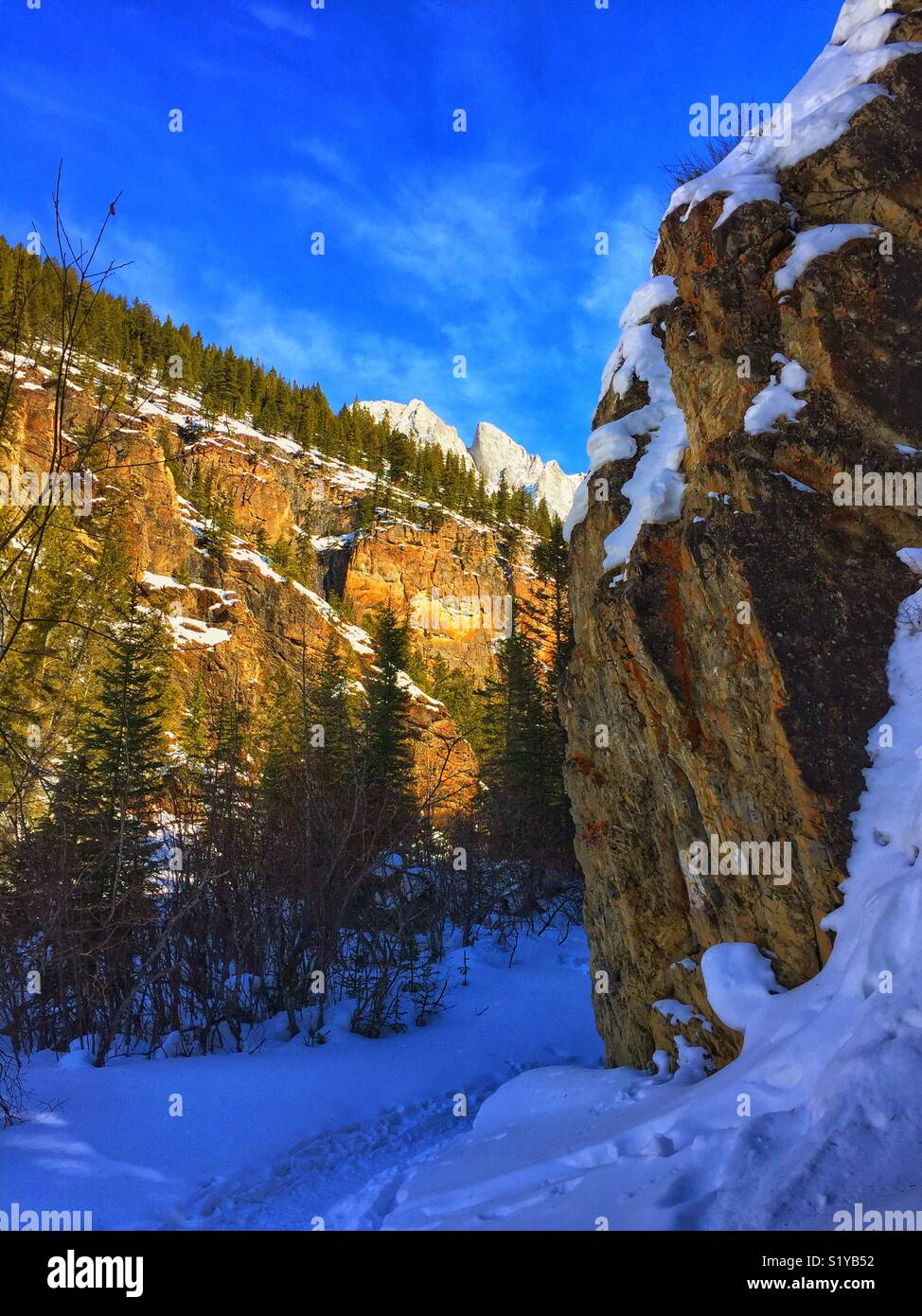 King Canyon, Kananaskis, Alberta, Canada Banque D'Images