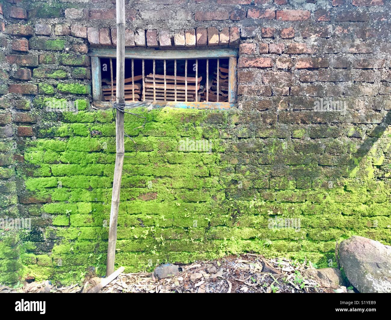 Mur de briques avec fenêtre et moule verte Banque D'Images