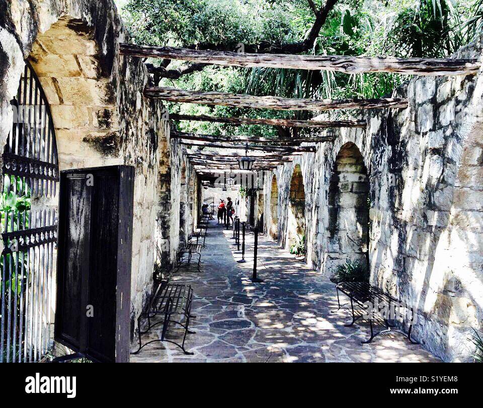 Charme En Carrelage écrasé Du Cœur Du Texas (Alamo) - Souvenir De San Antonio, Pierre Rouge