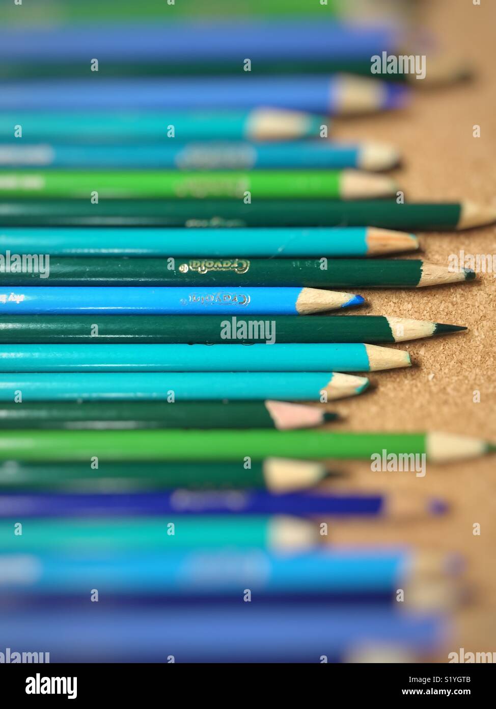 Crayons Crayola bleu et vert sur le panneau de liège Banque D'Images
