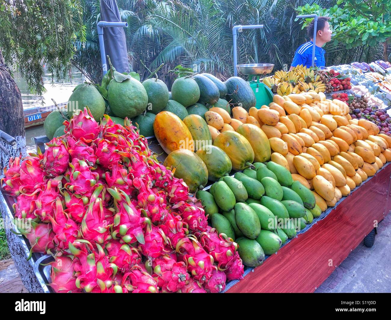 Vendeur de rue à Hoi An, Vietnam, la vente de fruits frais. - Image de stock capturée avec un smartphone