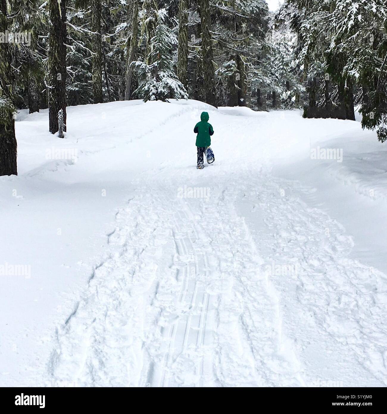 Boy running through snow Banque D'Images