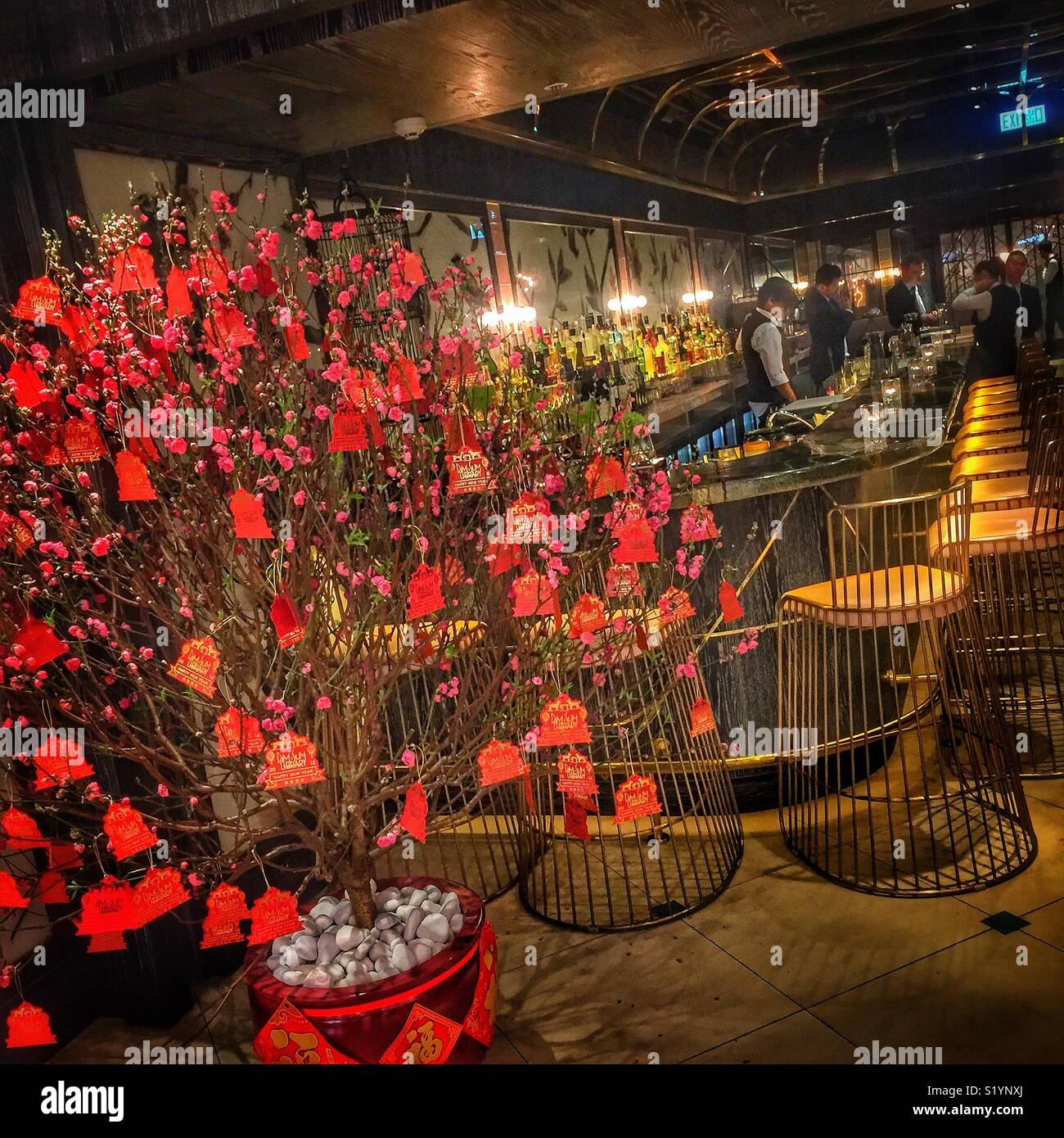 Un prunier arbre, célébrant la nouvelle année chinoise du chien en 2018, à l'entrée de la bibliothèque de Dim Sum, un restaurant et bar à Pacific Place, l'Amirauté, l'île de Hong Kong - Image de stock capturée avec un smartphone