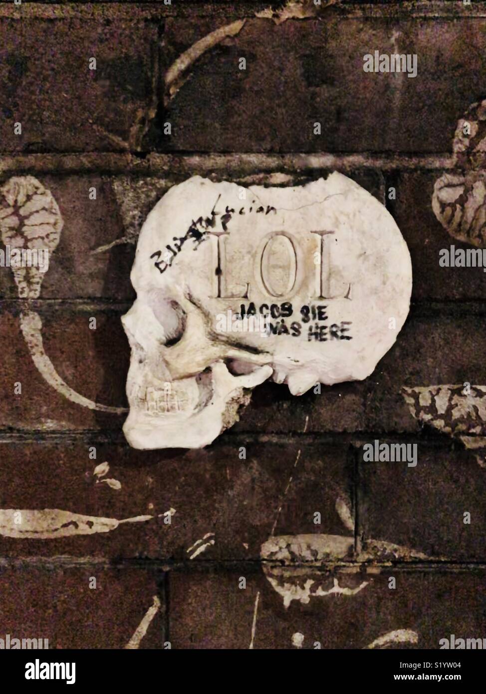 Crâne avec lol inscrit Banque D'Images