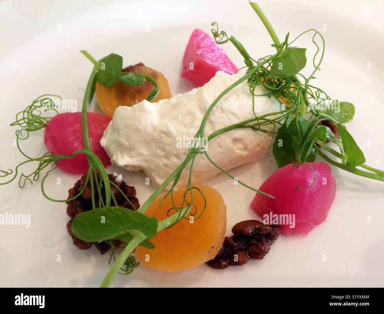 Mousse au fromage de chèvre de betterave et pousses de pois frais. Banque D'Images