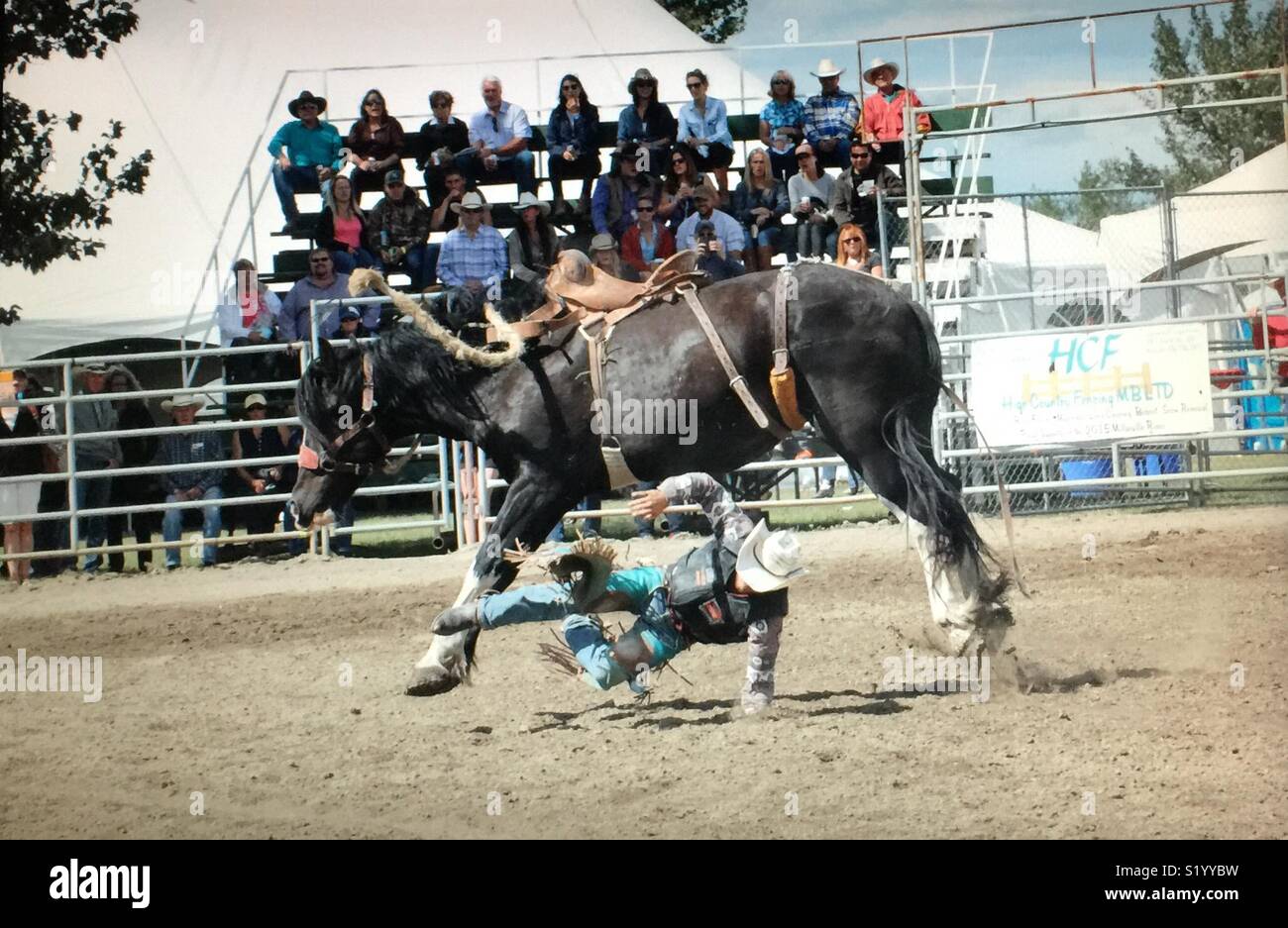 Rodeo, s'off Banque D'Images