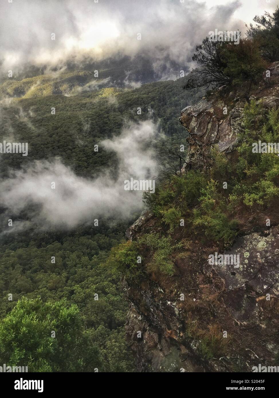 Tourbillons de nuages bas dans la vallée Jamison ci-dessous les falaises de grès de Elysian Rock Lookout, Leura, Blue Mountains National Park, NSW, Australie - Image de stock capturée avec un smartphone