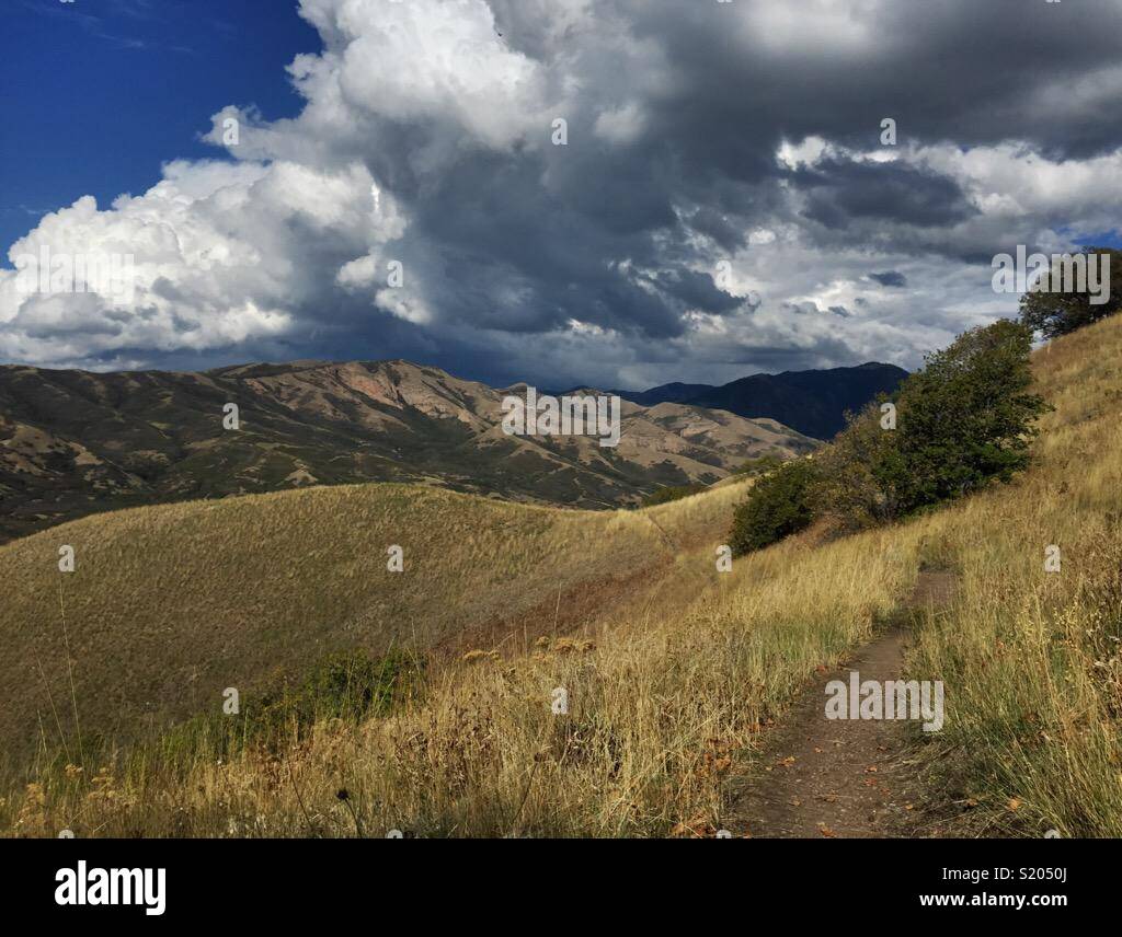 Un magnifique sentier de randonnée dans les monts Wasatch Mountains adjacent à Salt Lake City, Utah. Banque D'Images
