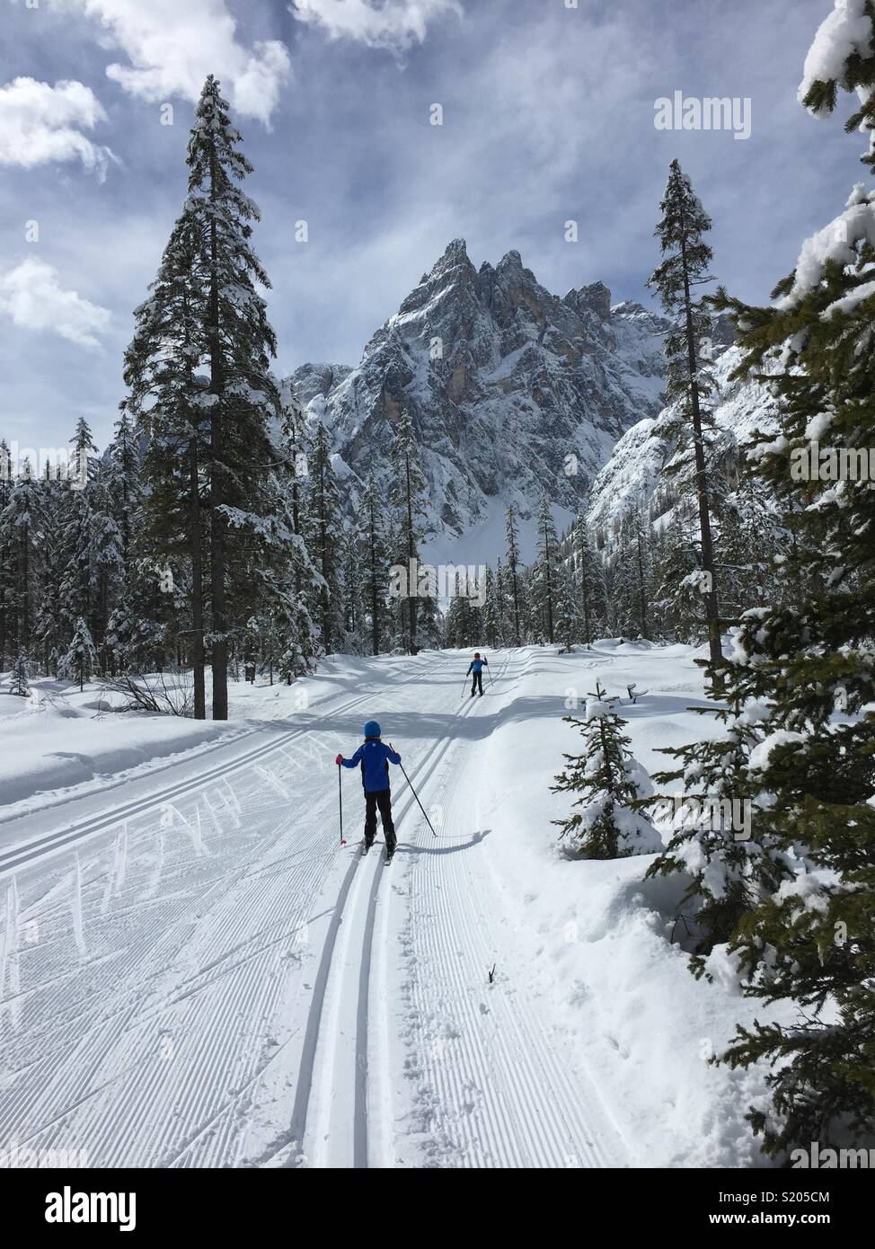 Le ski de fond. Val Fiscalina, Italie Banque D'Images