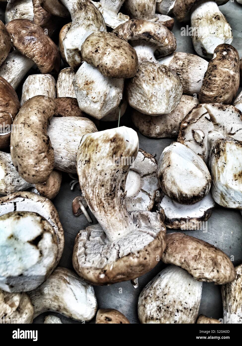 Champignons à vendre dans un marché Banque D'Images