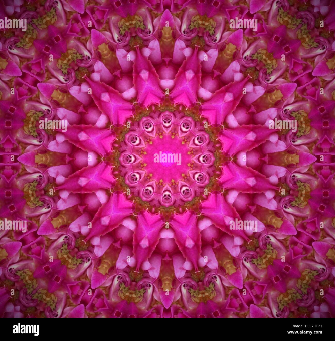 Pink mandala Banque de photographies et d’images à haute résolution - Alamy