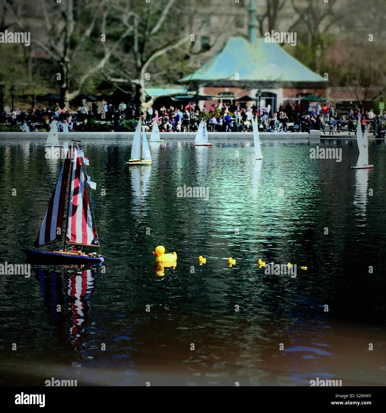 Voilier télécommandé de jouets et un défilé en caoutchouc ducky au Conservatoire de l'eau, sur un jour de printemps, Central Park, New York City, USA Banque D'Images