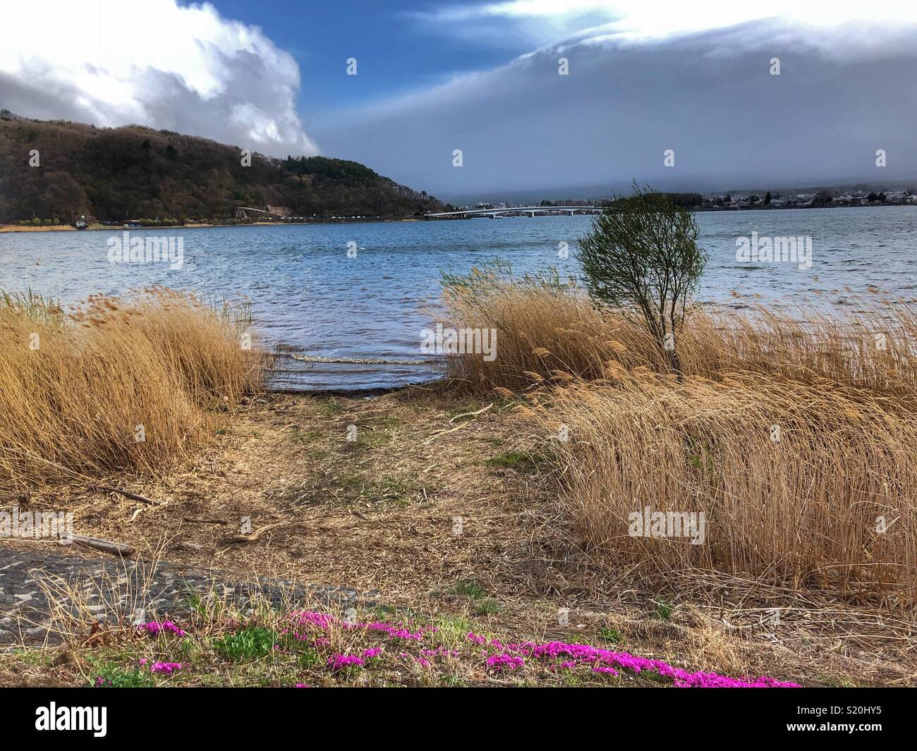 Un paysage tranquille, le lac Kawaguchi au Japon. Banque D'Images