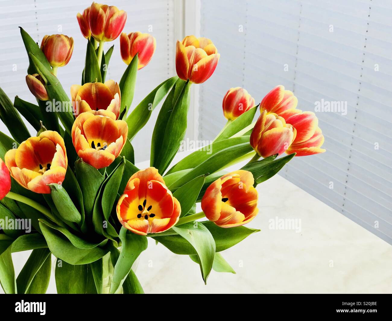 Bouquet de tulipes dans un vase en verre Banque D'Images