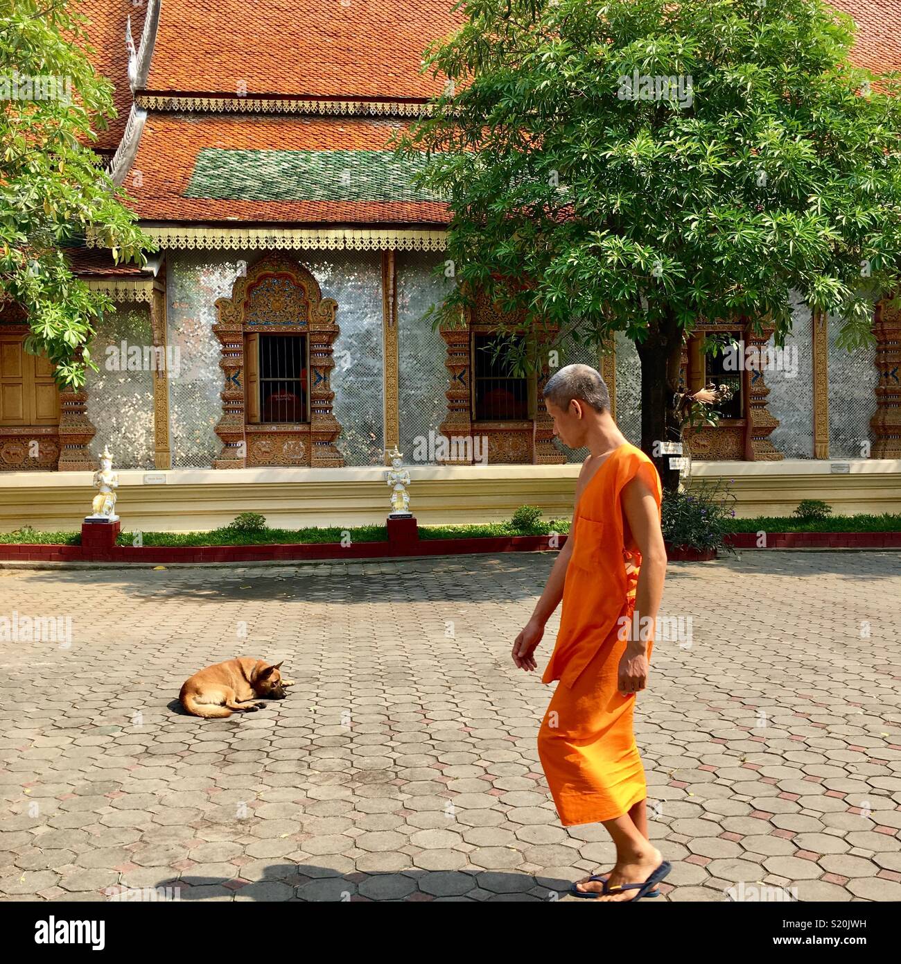 La vie de moine , Chiang Mai Banque D'Images