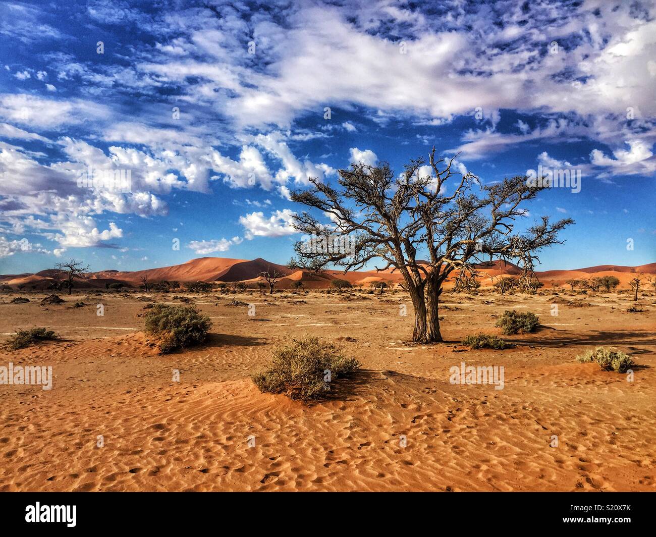 Désert de Namibie - Image de stock capturée avec un smartphone