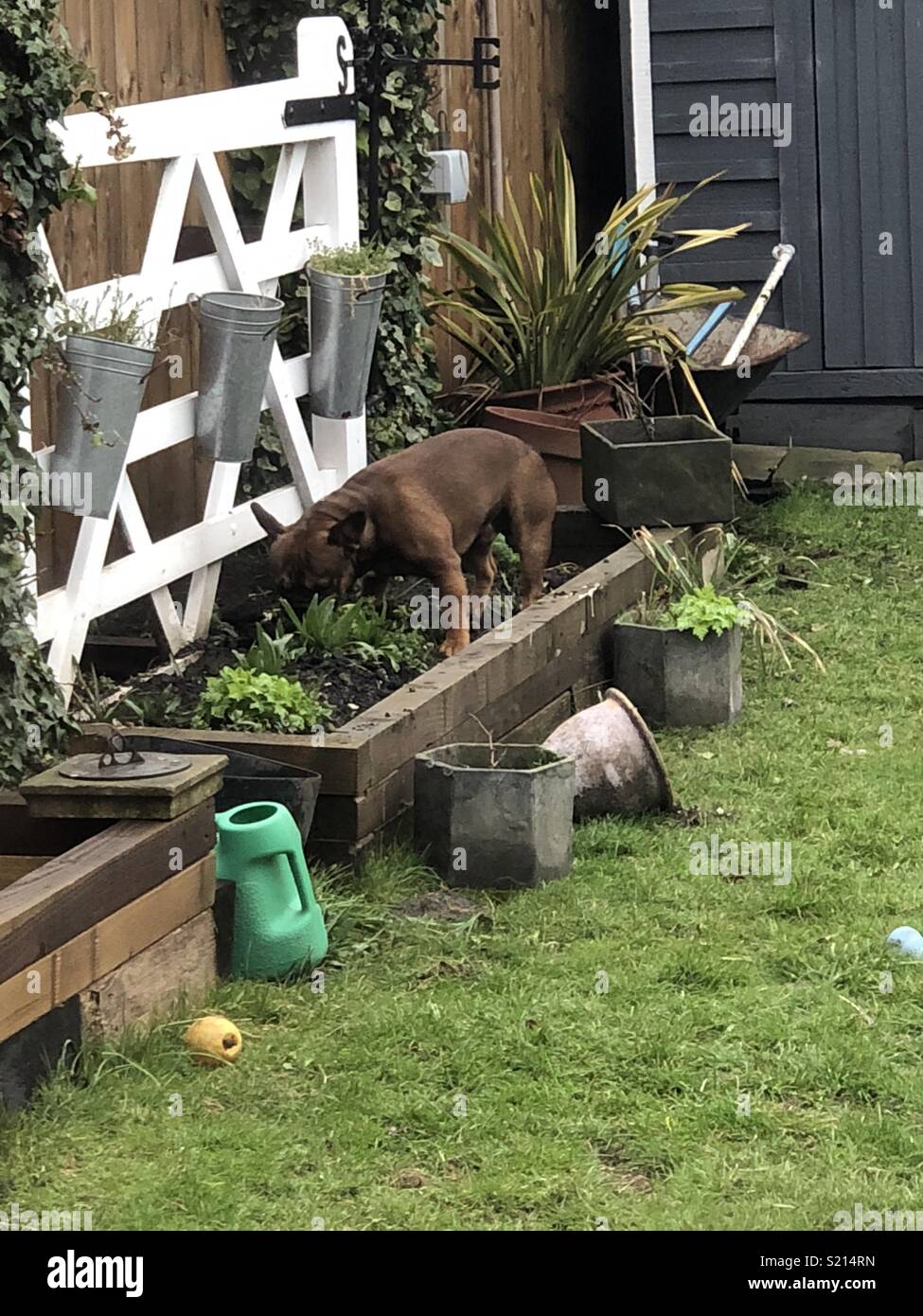 Saison de jardinage ! Banque D'Images