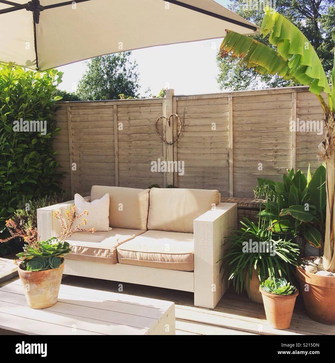 Jardin d'été de la vie en plein air - Image de stock capturée avec un smartphone