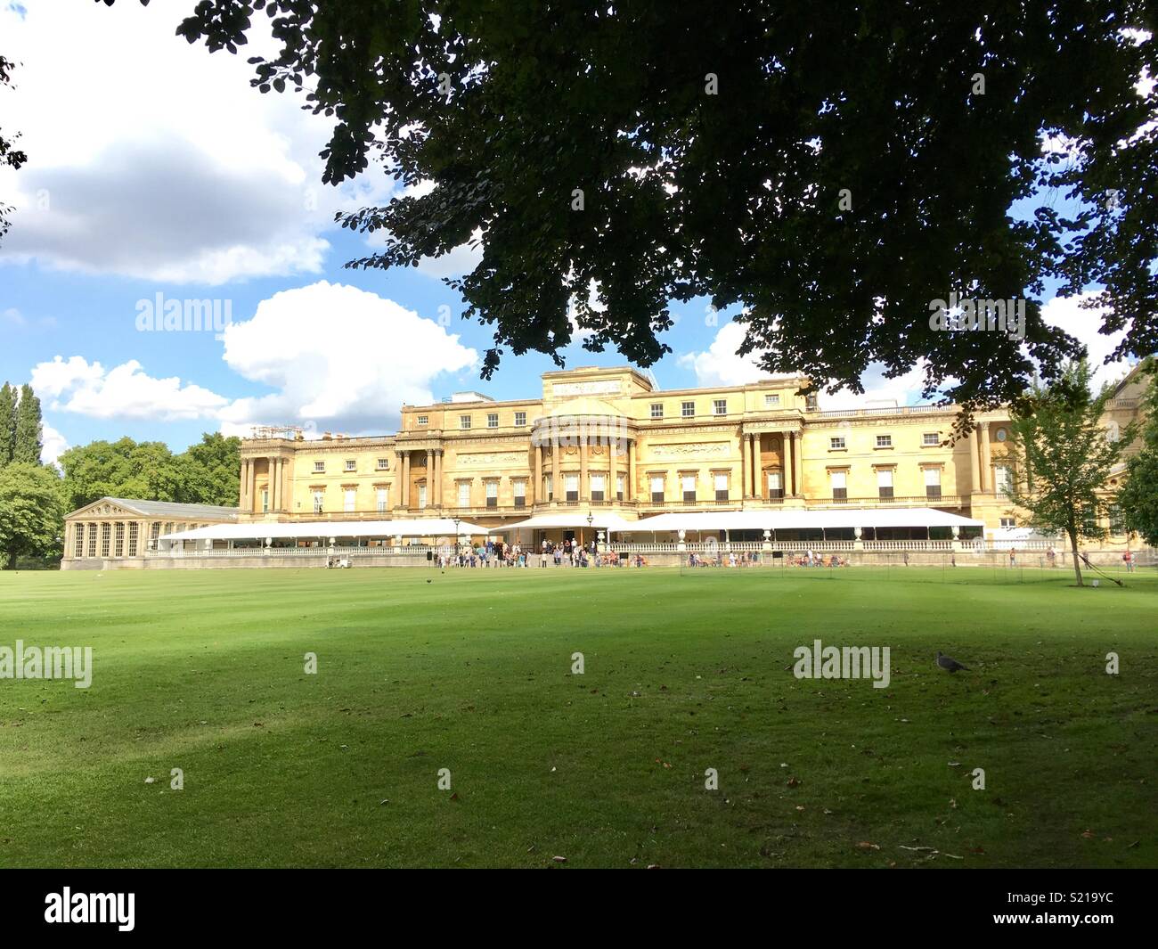 Le jardin de Buckingham Palace Banque D'Images