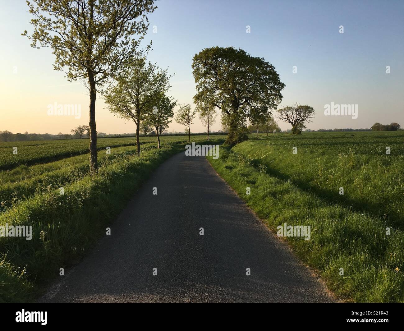 La Norfolk country lane Banque D'Images