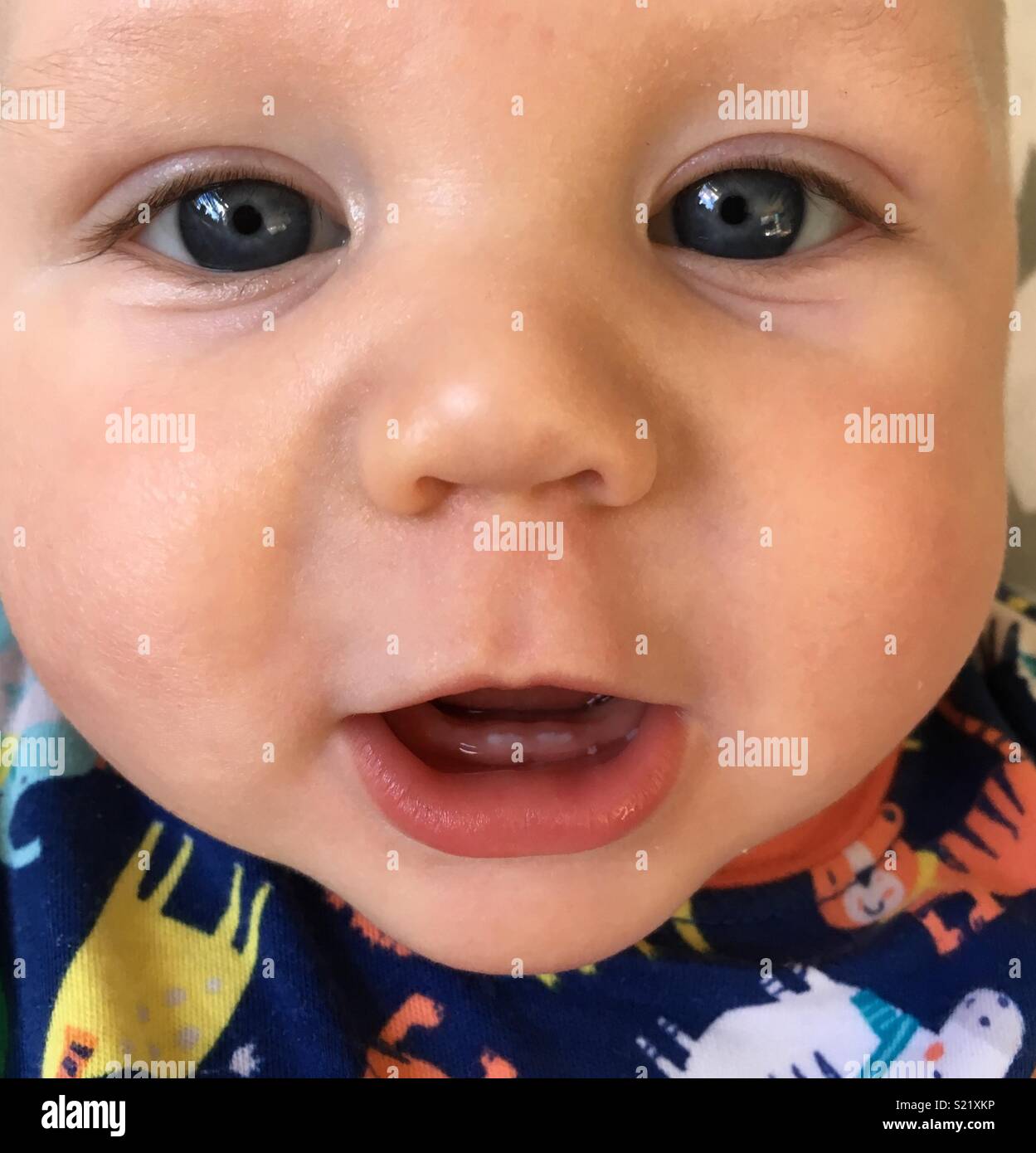 Bébé première dent Banque de photographies et d'images à haute résolution -  Alamy