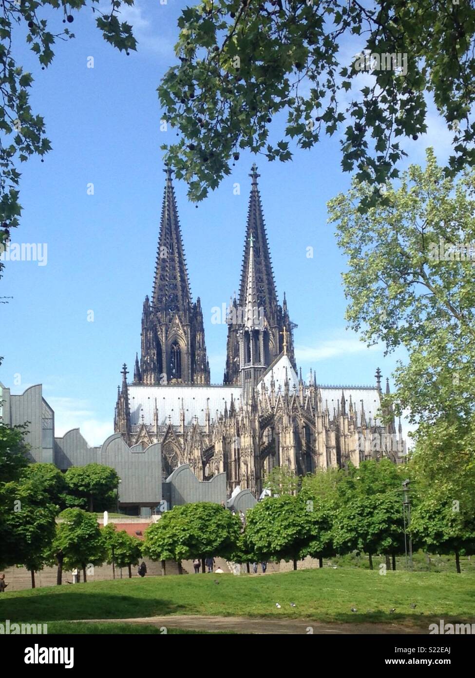 La cathédrale de Cologne Banque D'Images