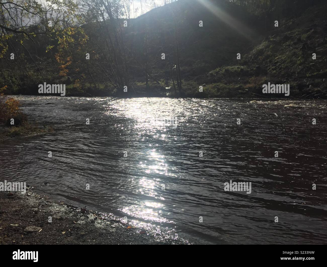 Chatelherault country park River Avon Banque D'Images