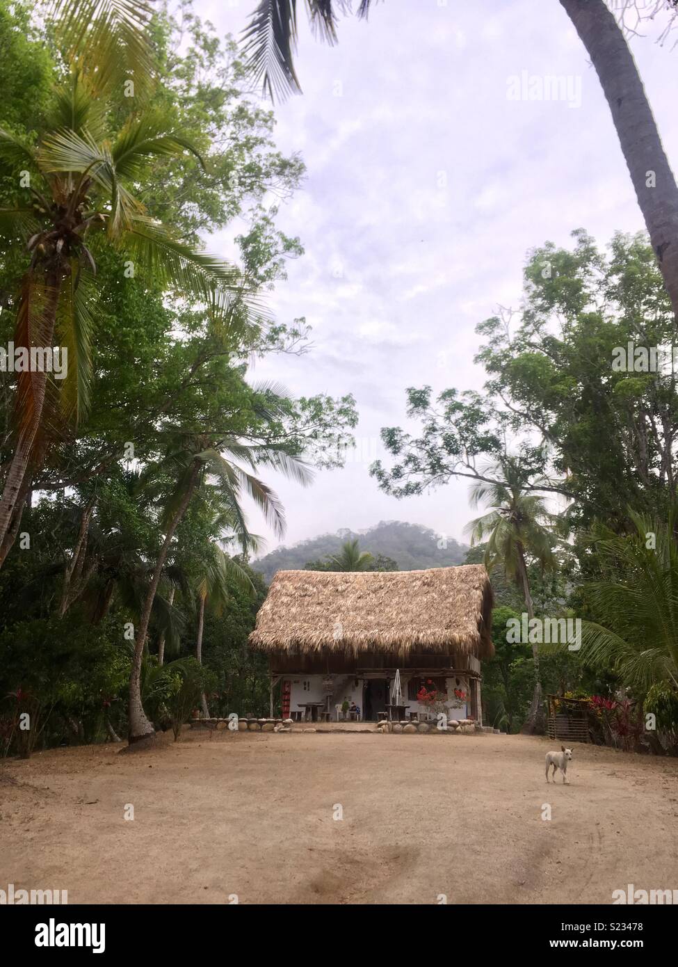 Ecolodge colombien dans le Parc National Tayrona Banque D'Images