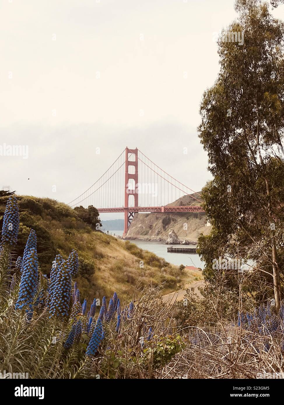 Golden Gate Bridge - Image de stock capturée avec un smartphone