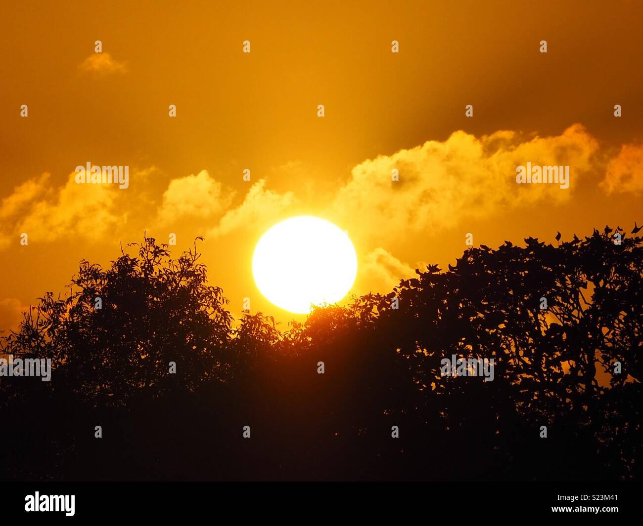 Coucher du soleil avec un plein soleil Banque D'Images