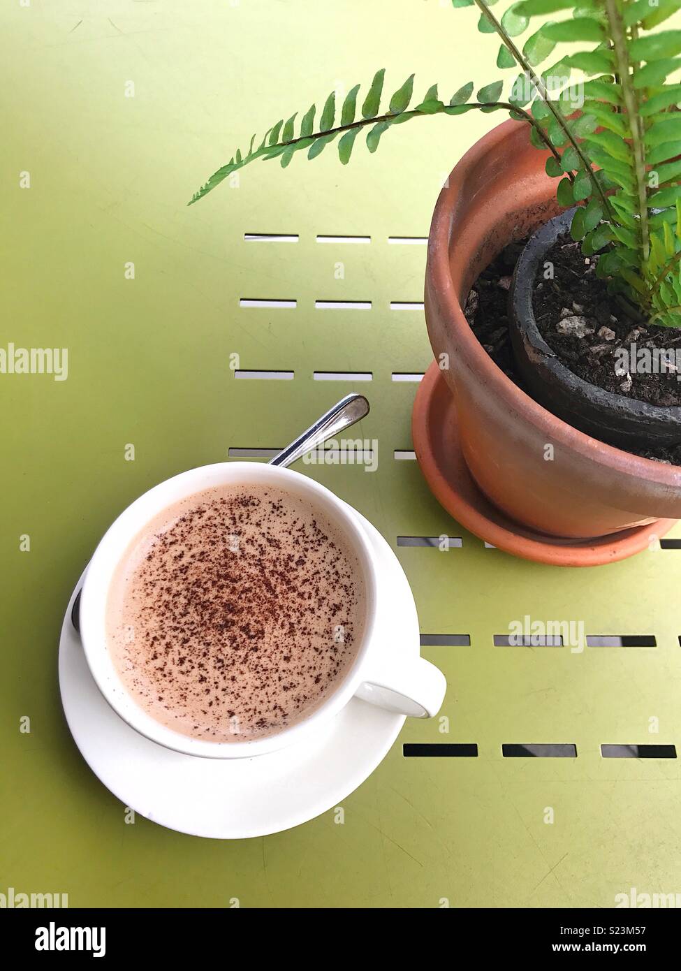 Moka et un brunch pour babouche dans un café plein de beaux jouets. Banque D'Images