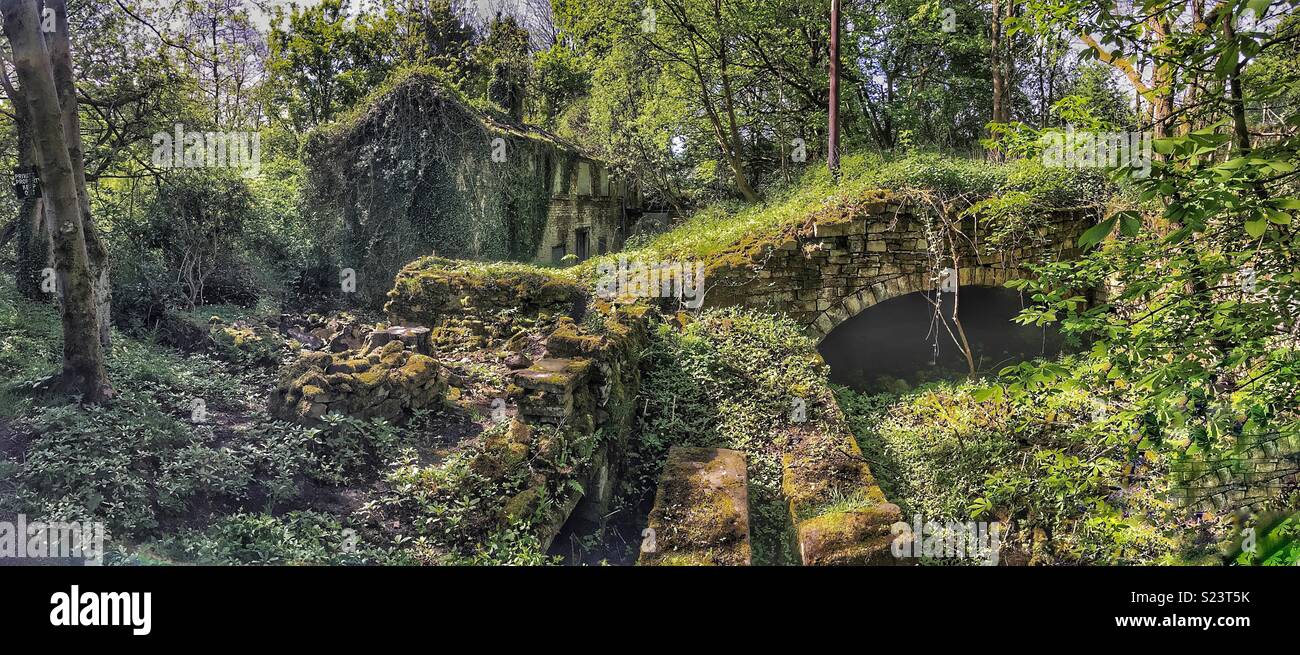 Vieux, abandonnés, Falling Down House dans les bois Banque D'Images