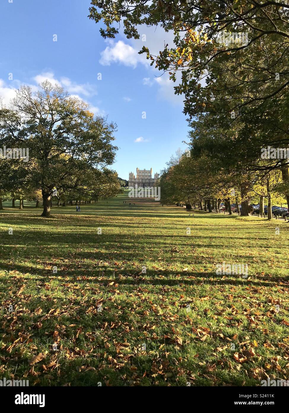 Wollaton Hall & Park Banque D'Images