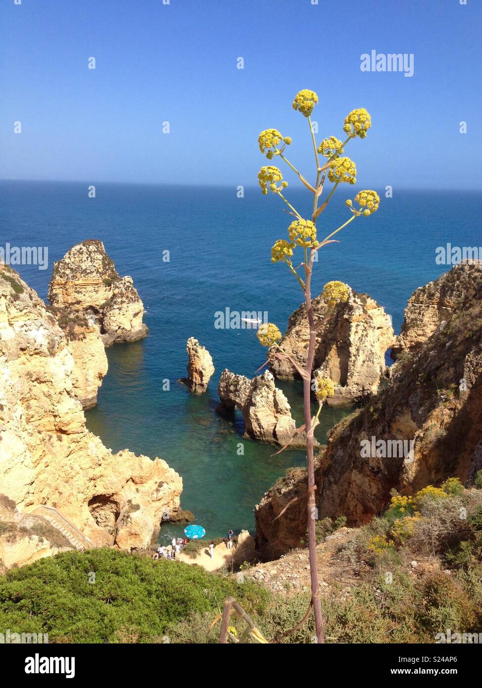 Rock formation au Cap St Vincent, Algarve, Portugal Banque D'Images