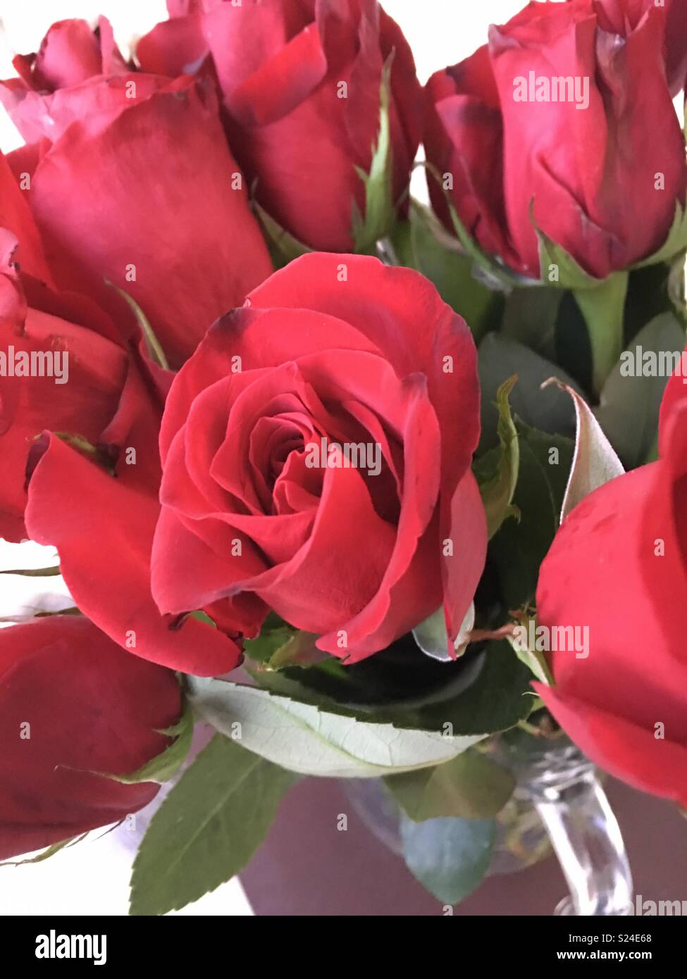 Roses rouges, heureux anniversaire - Image de stock capturée avec un smartphone