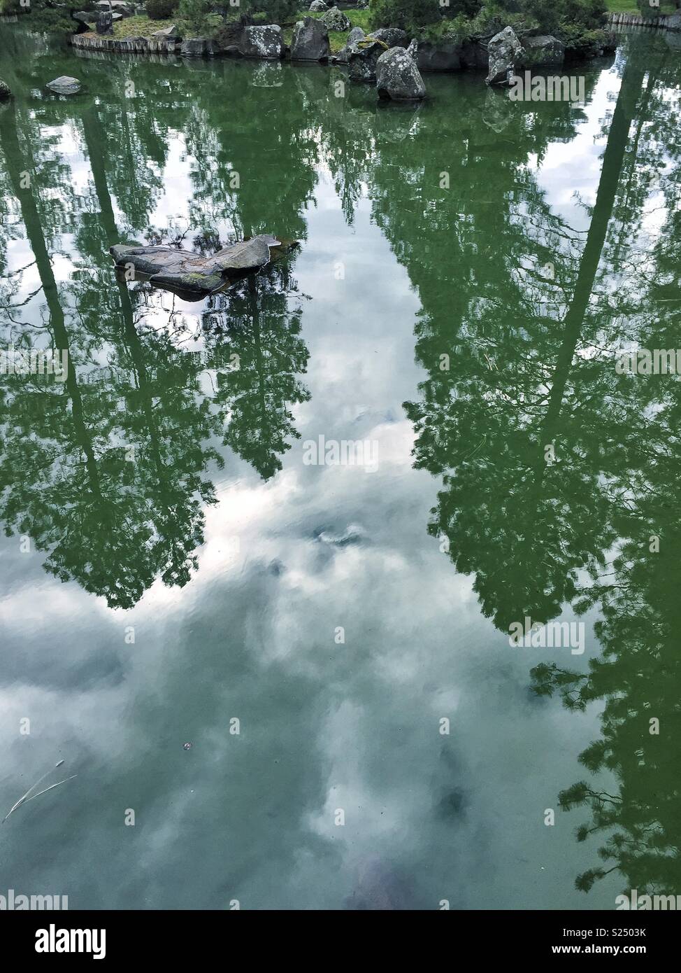 L'eau calme reflète les grands arbres à Nishinomiya Tsutakawa Jardin Japonais, un lieu où la nature, la tranquillité et la beauté se rejoignent Banque D'Images