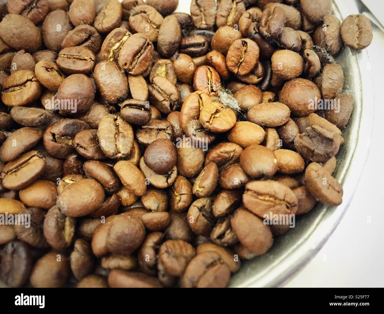 Les grains de café torréfiés dans un bol métallique - Image de stock capturée avec un smartphone