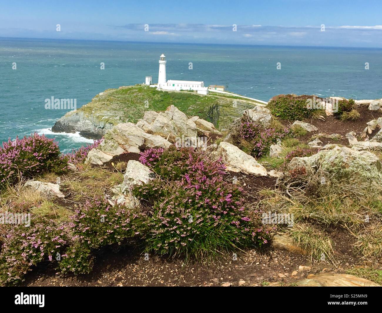 Le phare sur un promontoire entouré par Heather. Banque D'Images