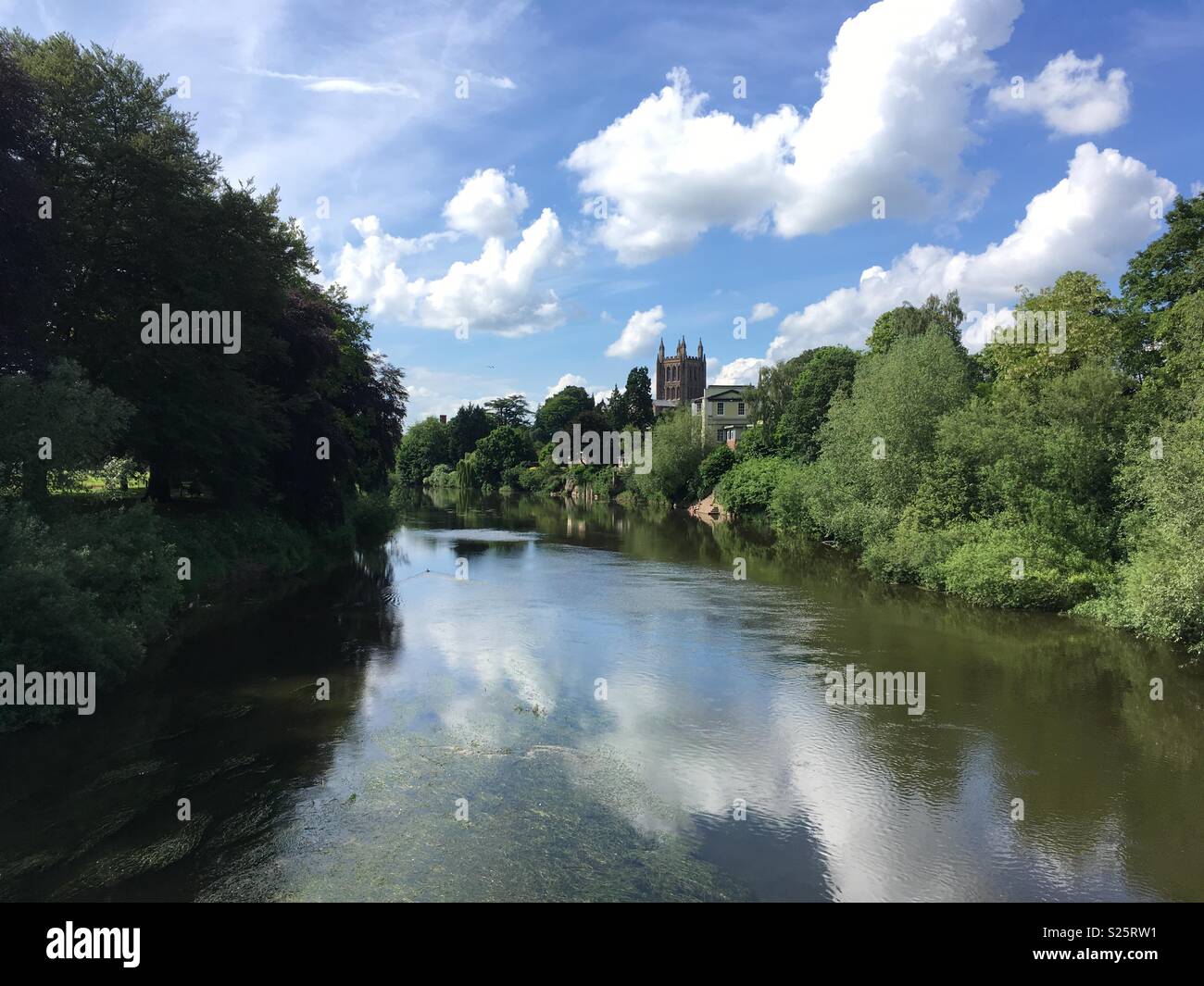 La Cathédrale de Hereford par la rivière Wye Banque D'Images