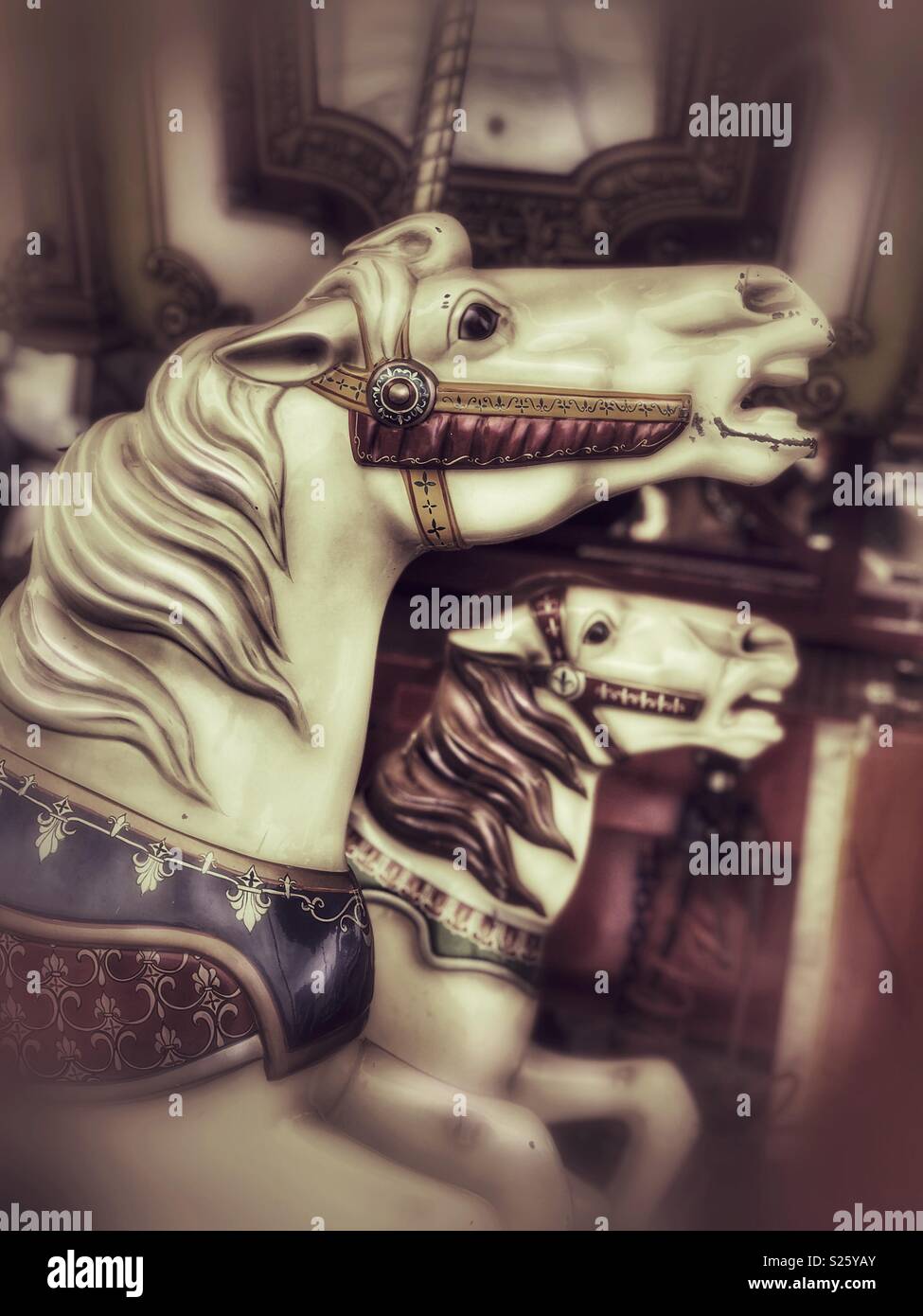 Chevaux de carrousel Banque D'Images