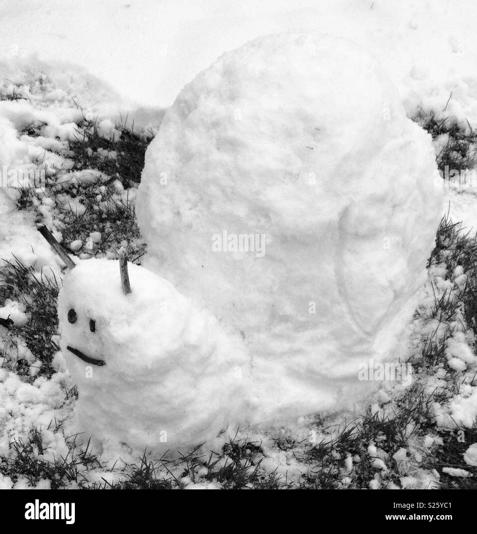 Escargot de neige Banque D'Images