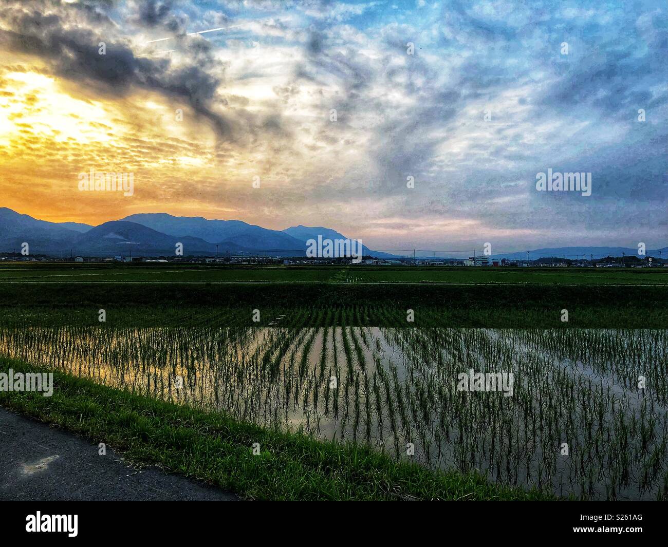 Champ de riz et le coucher du soleil à Komono, Japon Banque D'Images