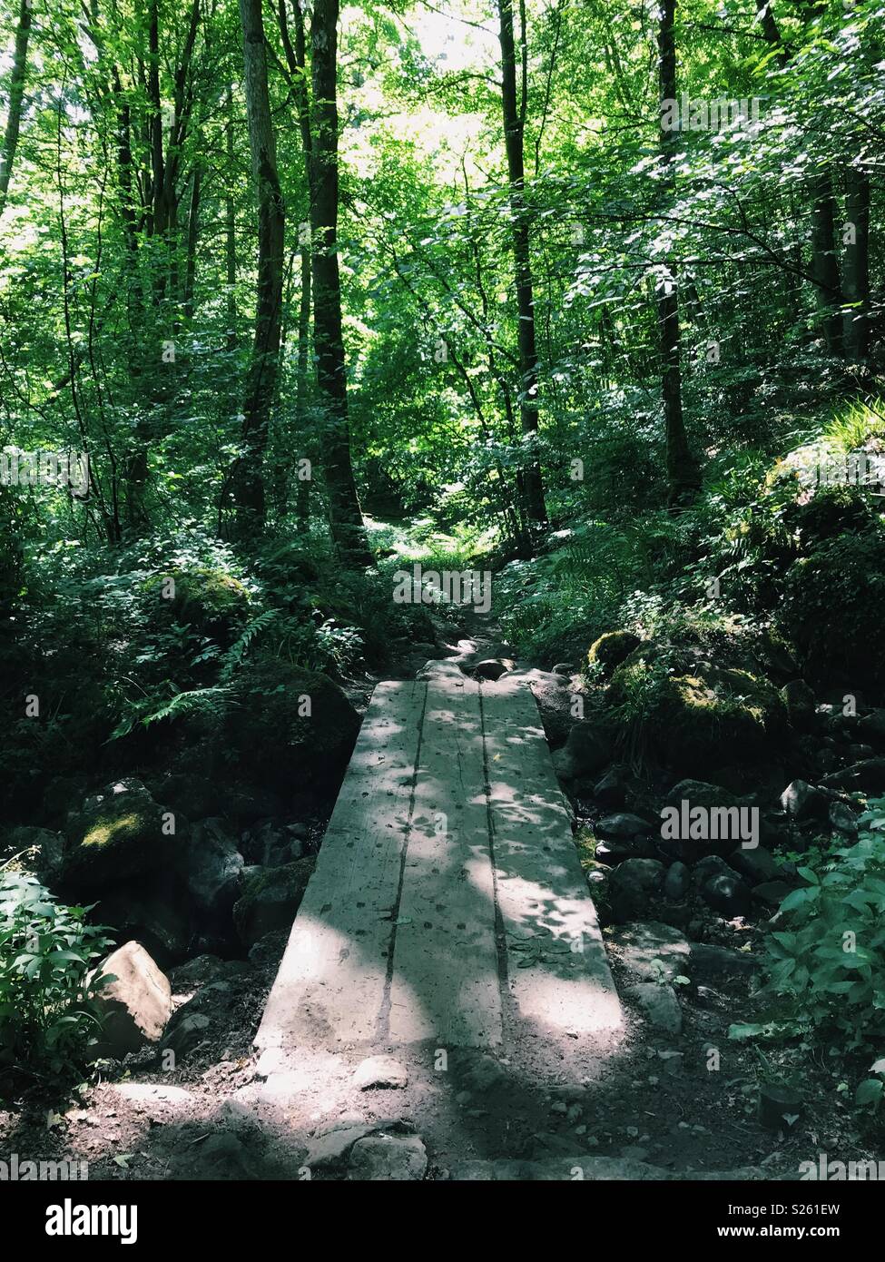 Un pont de bois sur un ruisseau dans les bois à Allen Banques, Northumberland, Angleterre. Banque D'Images