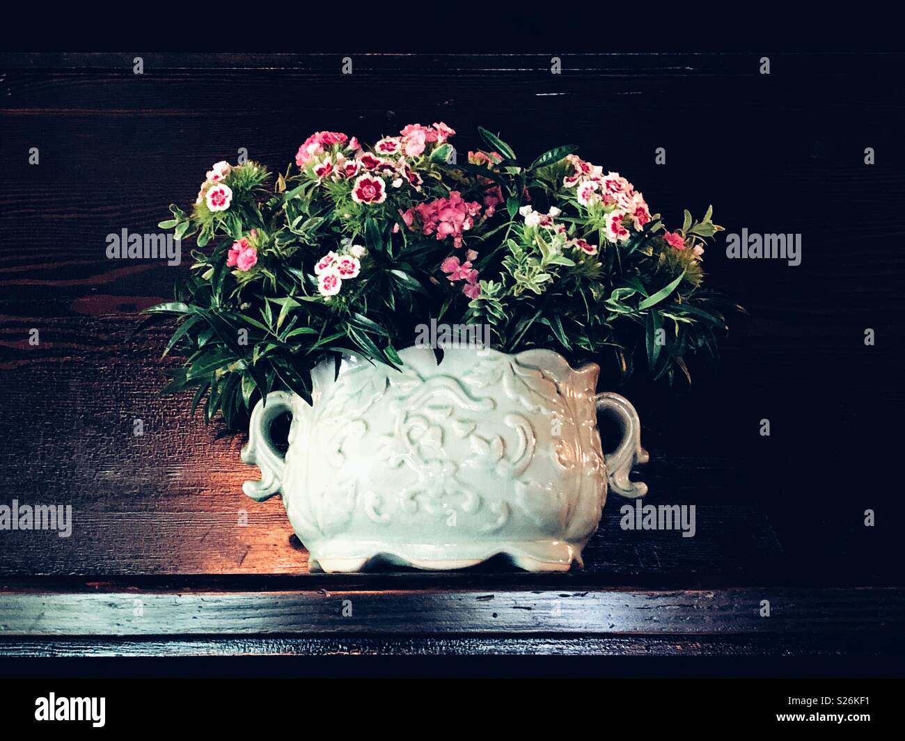 Dianthus chinensis, communément connu sous le nom de Rainbow rose ou Rose de Chine, dans le vase en porcelaine blanche ornée d'un manteau en bois sombre. Banque D'Images