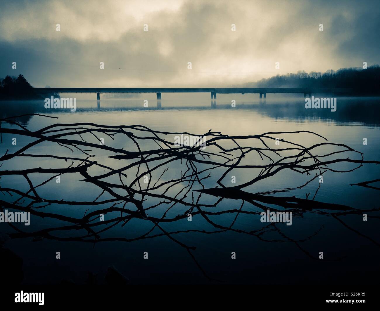 Ronces dépasse de l'eau immobile sur une calme matin brumeux à Tims Ford lake à Winchester, Tennessee. Filtre de sélénium bleu lui donner une fantaisie ou sci-fi. Banque D'Images